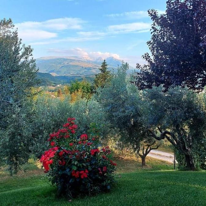 Bed & Breakfast Le Coccinelle Bed & Breakfast Rosciano  Dış mekan fotoğraf