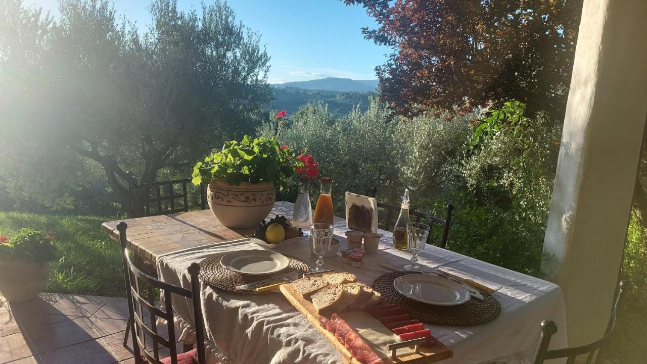 Bed & Breakfast Le Coccinelle Bed & Breakfast Rosciano  Dış mekan fotoğraf